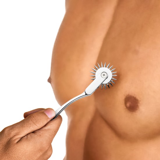 Picture of Silver Sensation Wartenberg Wheel