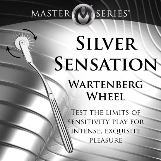 Picture of Silver Sensation Wartenberg Wheel