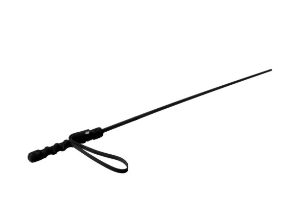 Picture of Isabella Sinclaire Intense Impact Cane