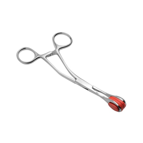 Picture of Isabellas Stainless Steel Forceps
