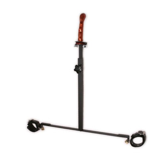 Picture of The Anal Impaler