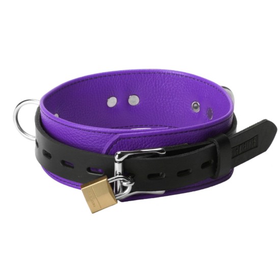 Picture of Strict Leather Deluxe Locking Collar - Purple and Black