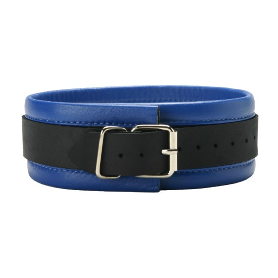Picture of Blue Mid-Level Leather Collar