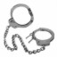 Picture of Professional Police Leg Irons