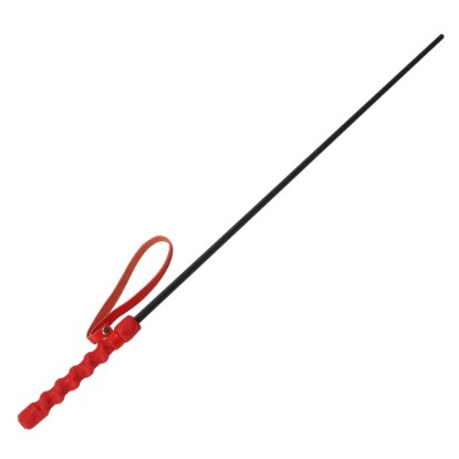Picture of Intense Impact Cane- Red