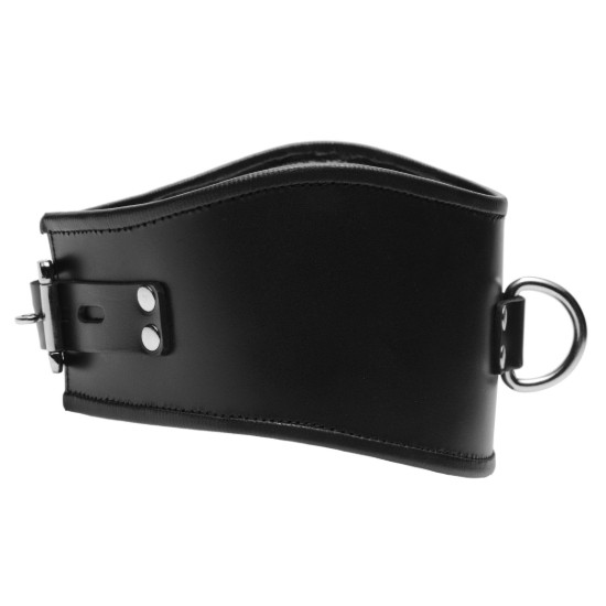 Picture of Padded Leather Locking Posture Collar