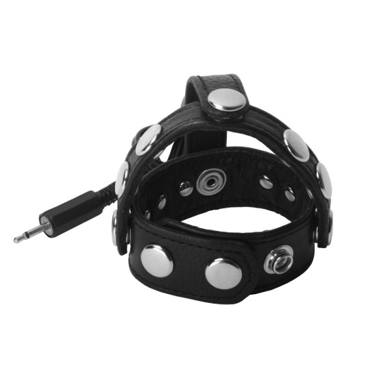 Picture of Radian Leather Ball Harness